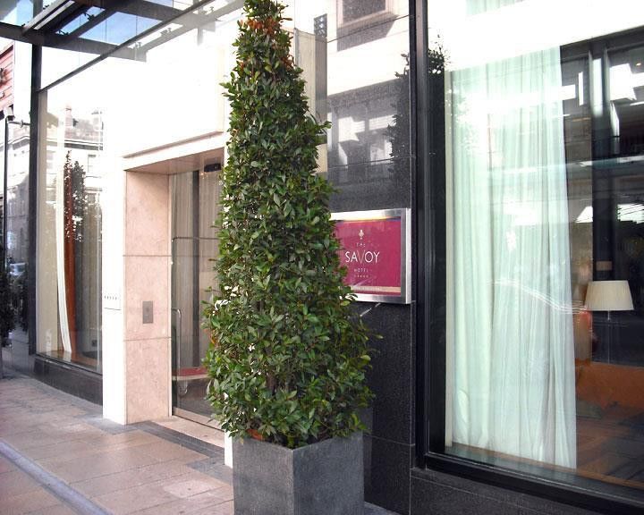 The Savoy Hotel Limerick Junction Eksteriør bilde A bay laurel tree